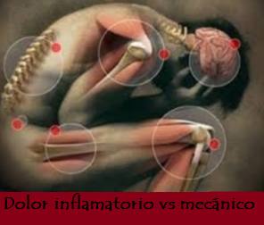Dolor inflamatorio vs mecánico